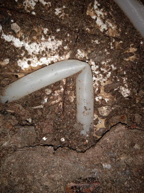 红安堵点精准查找